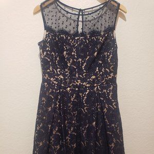 Eliza J Fit and Flare Formal Floral Lace Eyelash Fringe Cocktail Dress Size 10